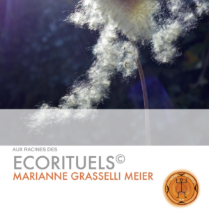 Aux racines des Ecorituels (PDF)